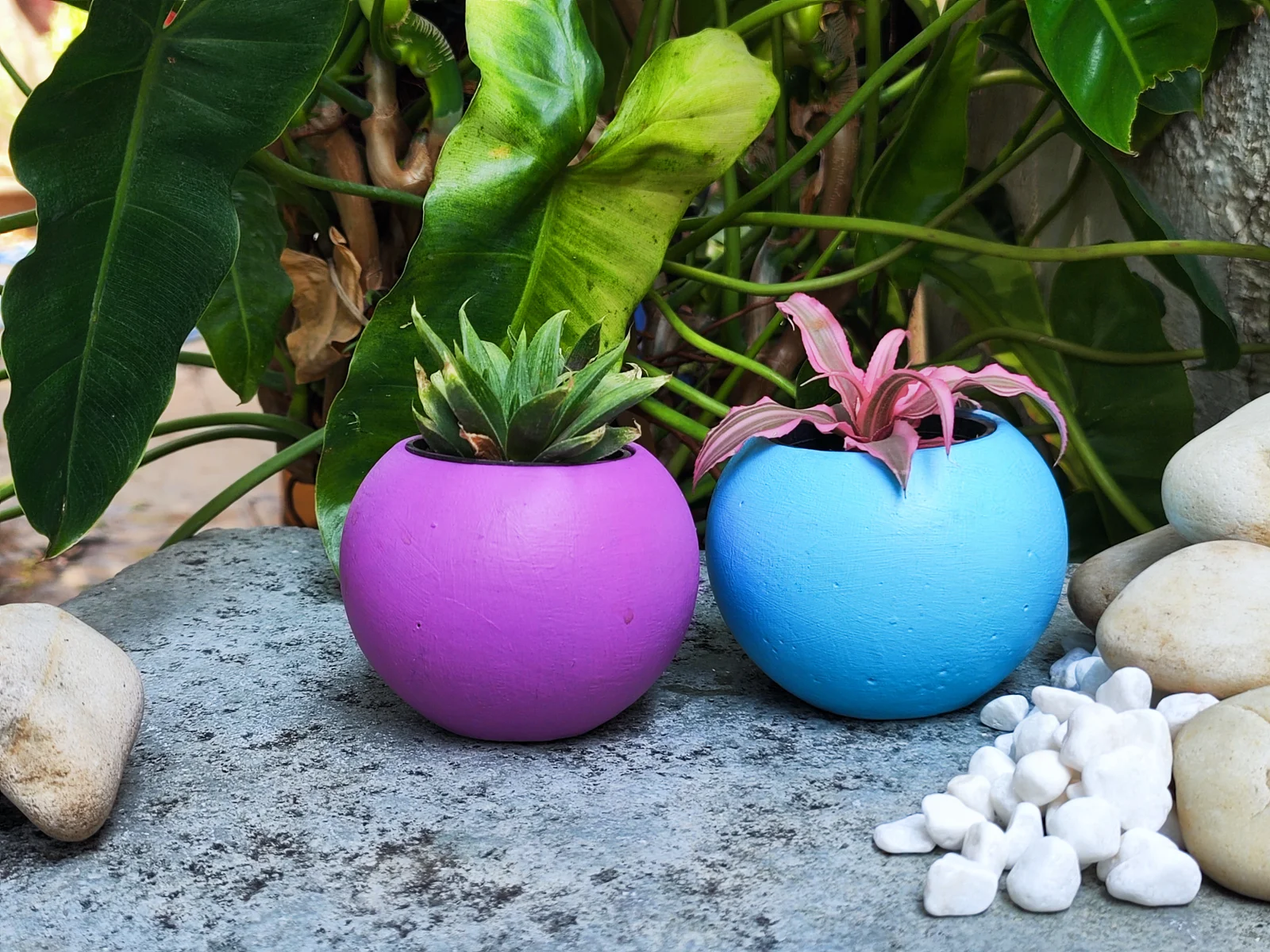 Welcome to Geo Botanica - Where Craftsmanship Meets Sustainability