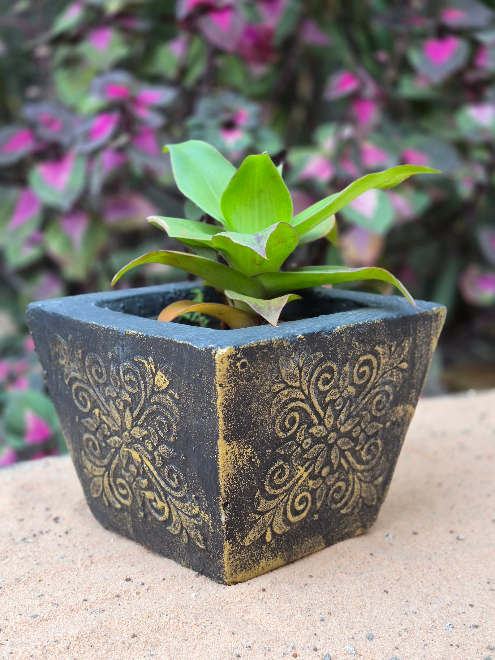 Obsidian Planter